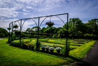 20062012-04694-nationalbotanicgardens