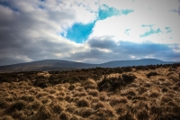 03032013-08189-wicklow_mountains