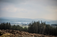 03032013-08244-wicklow_mountains