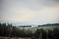 03032013-08246-wicklow_mountains